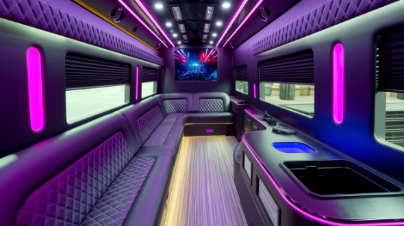 sprinter limo rental interior corpus christi